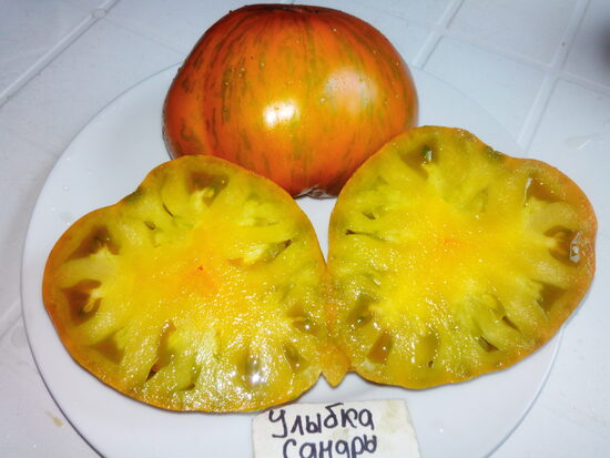 Улыбка Сандры